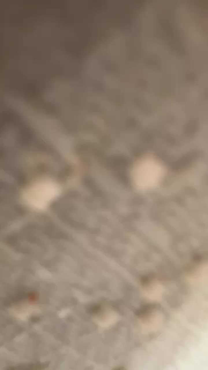 Video post from nighathashmi.