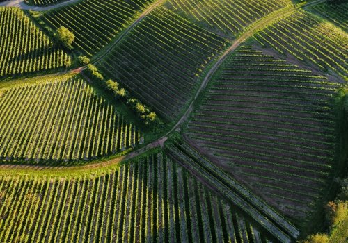 Photo post from clubdvin.