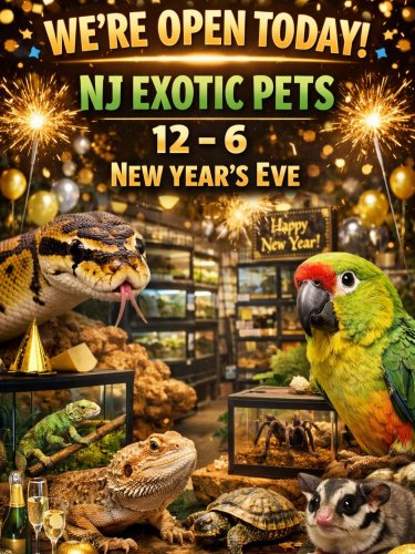 Photo post from njexoticpets.