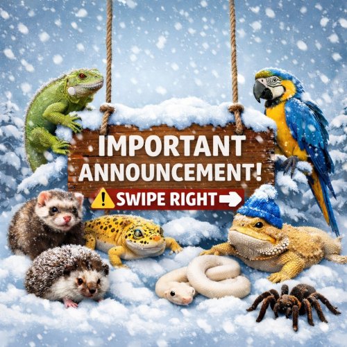 Carousel post from njexoticpets.