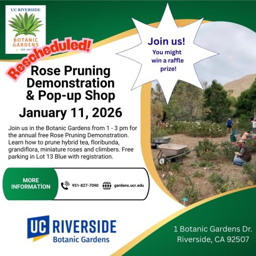 Carousel post from ucrbotanicgardens.