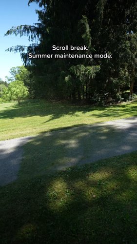 Photo post from dewalttough.