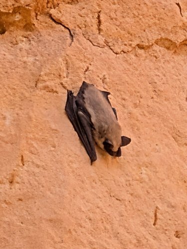 Carousel post from lyndsaytravels.