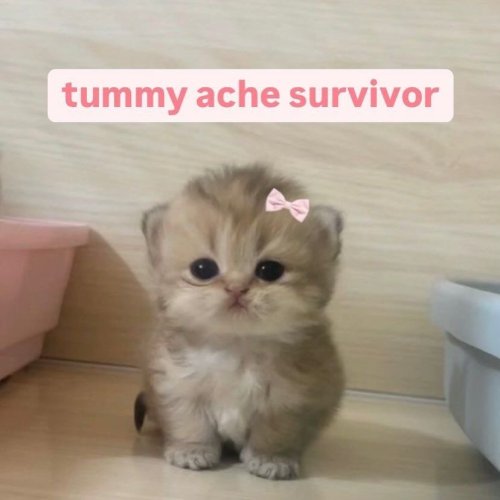 Photo post from margaritabloom.