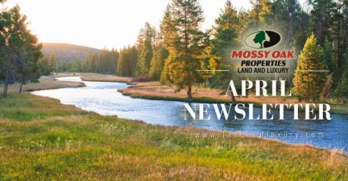 Photo post from mossy_oak_properties.