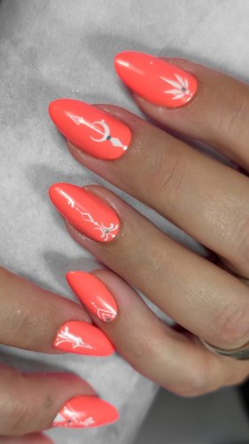 Photo post from tartofraises.