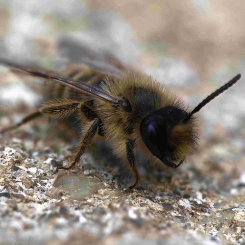 Photo post from sebswildlife.