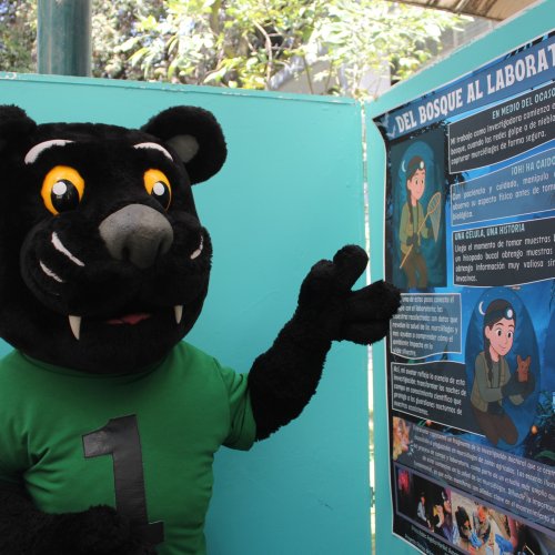 Carousel post from murci_uami.