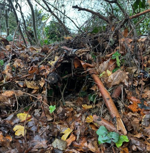 Photo post from the.plotthickens.