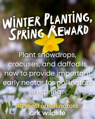 Photo post from ark_wildlife.