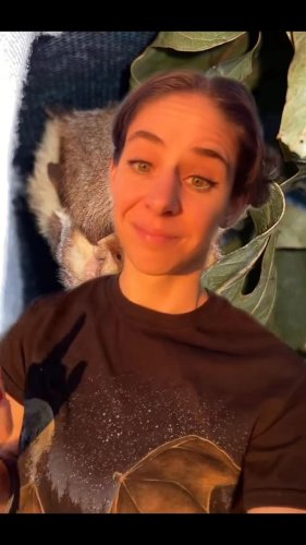 Video post from alyb_batgirl.