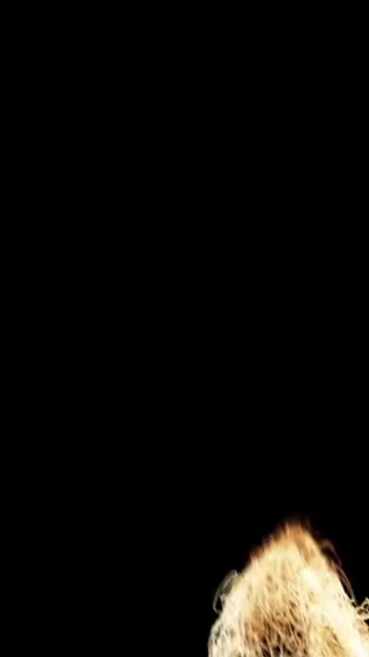 Video post from aseanfdshowcase.