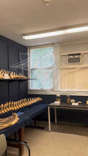 Video post from umassnaturalhistorycollections.