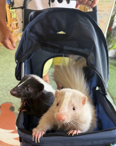 Photo post from njexoticpets.