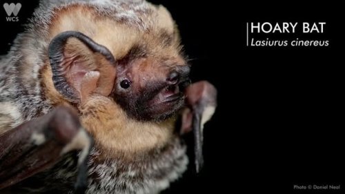 Video post from prospectparkzoo.