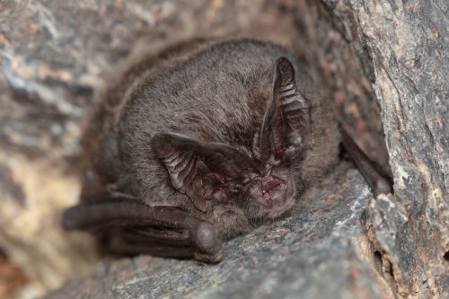 Photo post from roofingtoday.