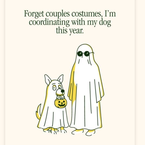 Photo post from pawsplaysandiego.