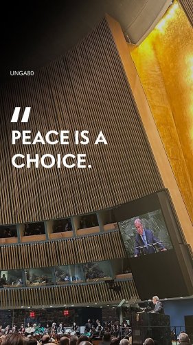 Video post from unops_official.