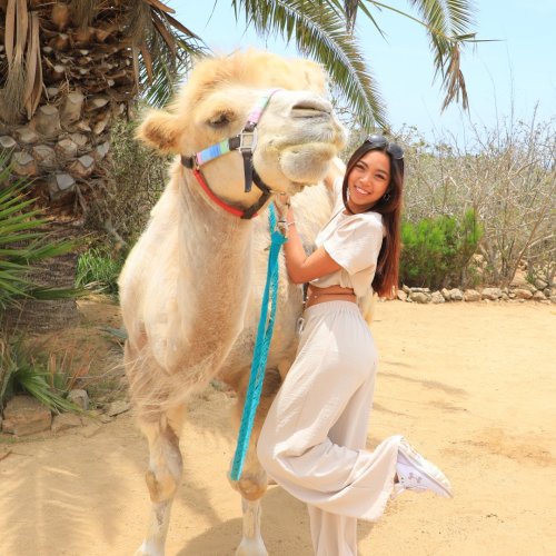 Carousel post from bcssw.