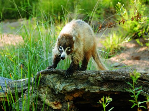 Photo post from visittucson.