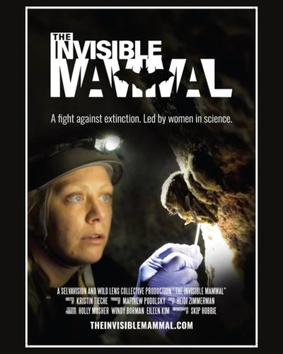 Photo post from cwf_fcf.