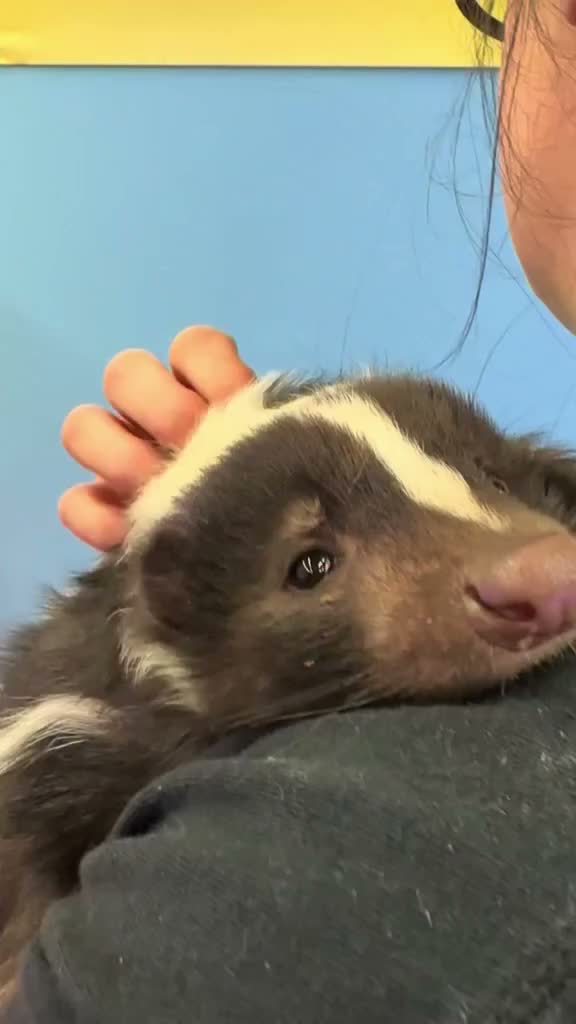 Video post from njexoticpets.