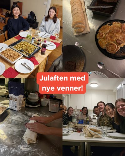 Photo post from siostudentliv.