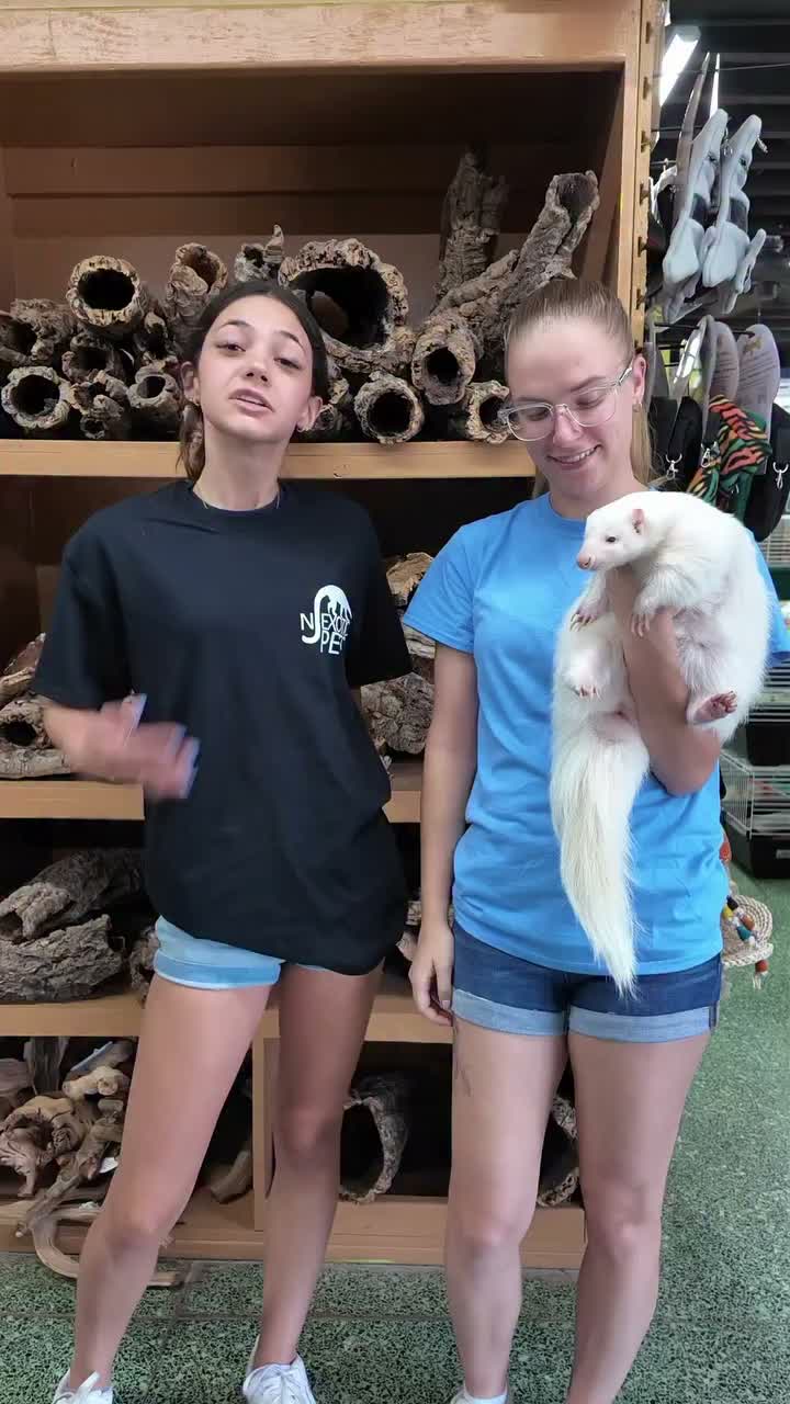 Video post from njexoticpets.