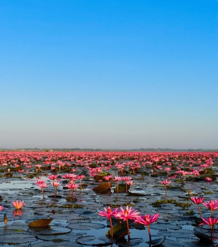 Carousel post from amazingthailandjp.