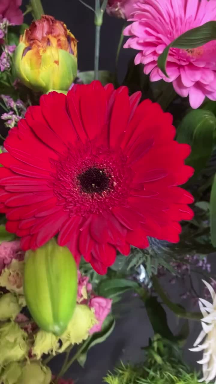 Video post from dellemannbloemen.