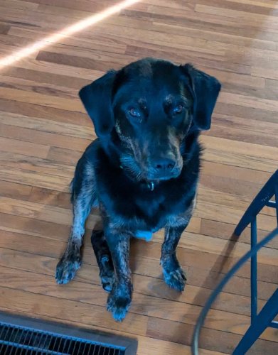 Photo post from claradepont.