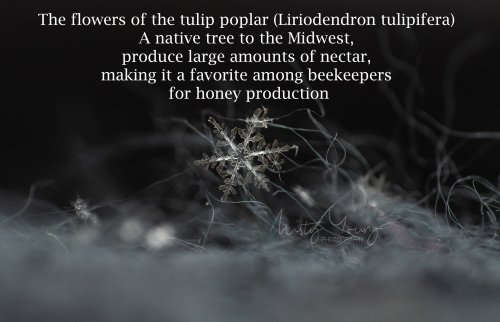 Photo post from mistyyoungphoto.