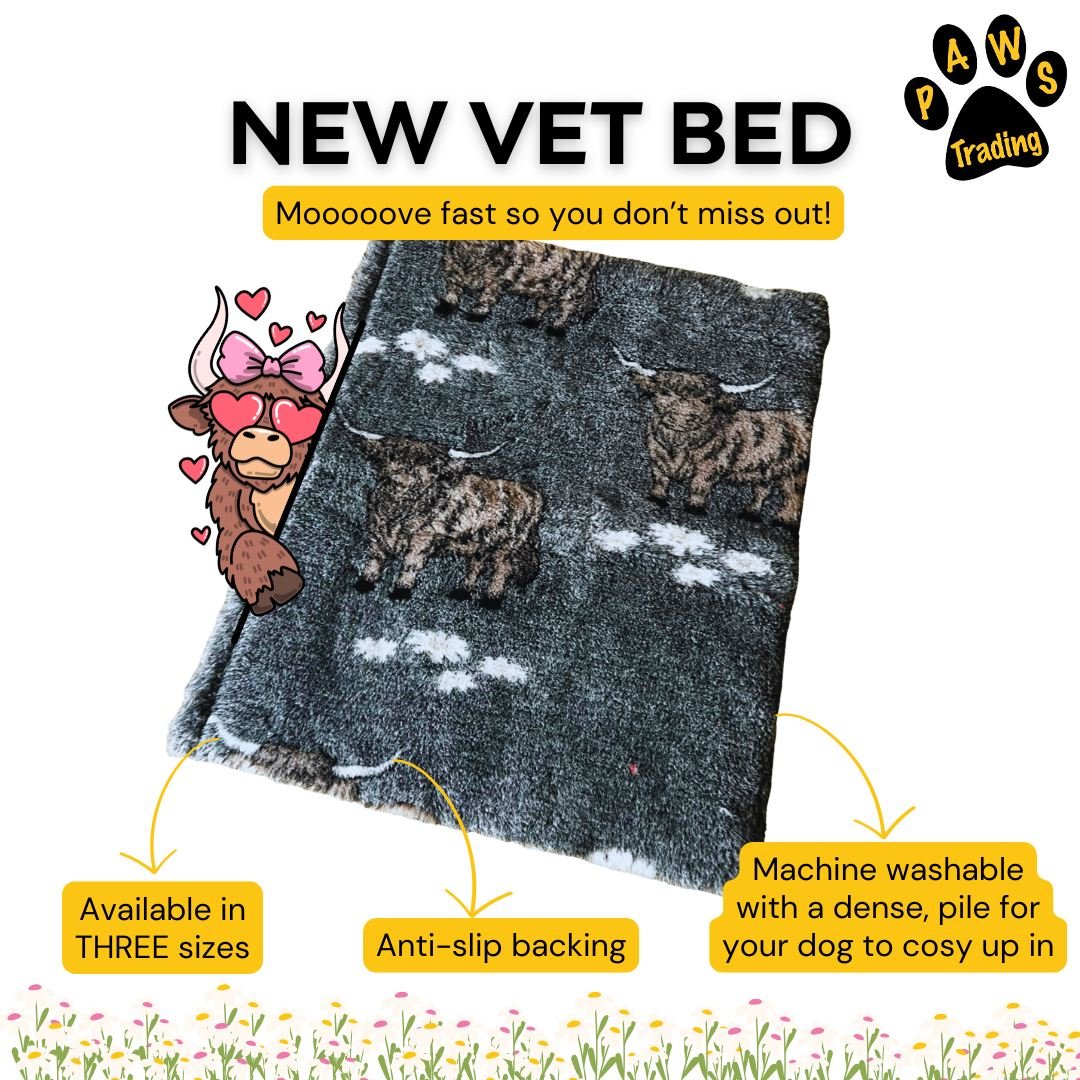 Photo post from pawstrading.