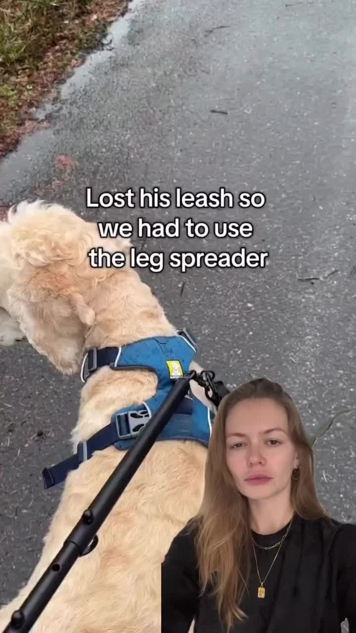 Video post from lovehoneyofficial.