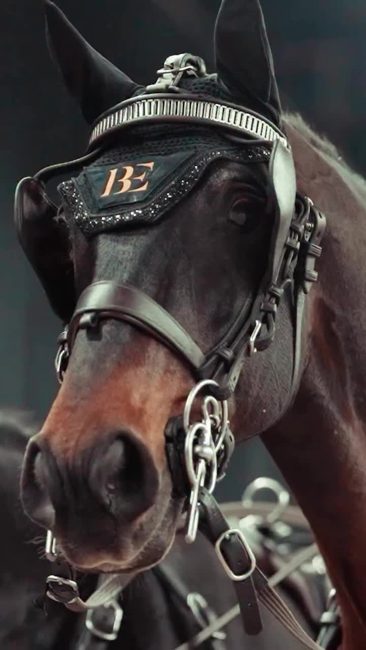 Video post from fei_global.