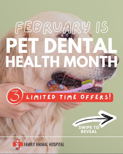 Carousel post from familyanimalhospitalcm.