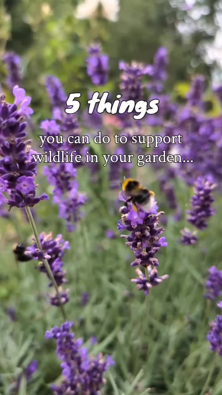 Video post from wildandwonderfulgarden.