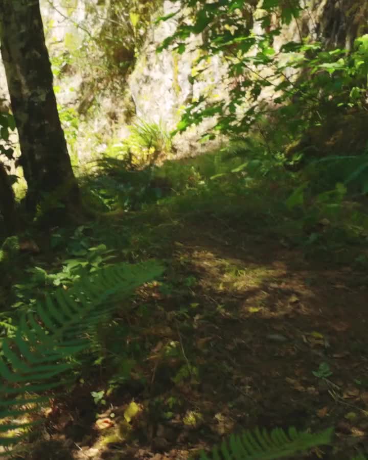 Video post from bertsmegamall.