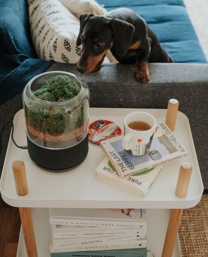 Carousel post from briiv.natural.