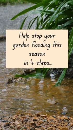 Video post from nifty_nature_uk.