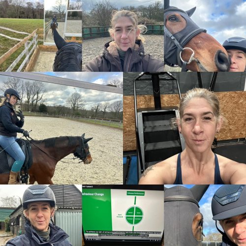 Photo post from mbddressage.