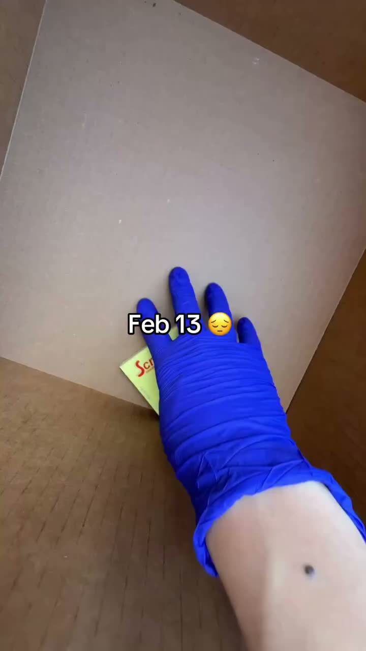 Video post from scrandiebeauty.