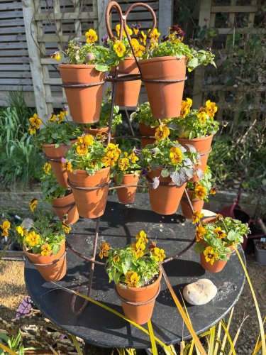 Photo post from gardenhousebrighton.