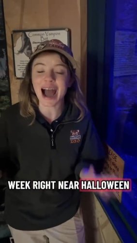 Video post from ctbeardsleyzoo.