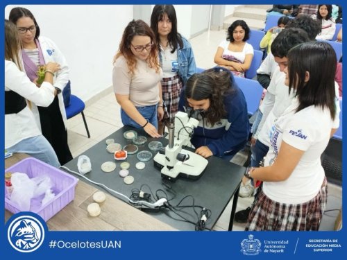 Carousel post from uan.oficial.