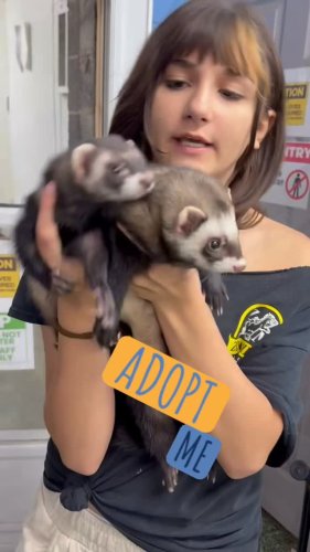 Video post from njexoticpets.