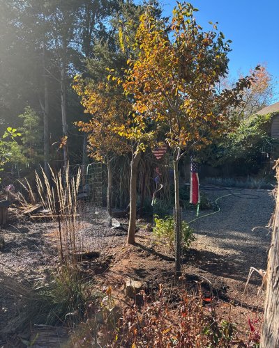 Photo post from mireade2025.