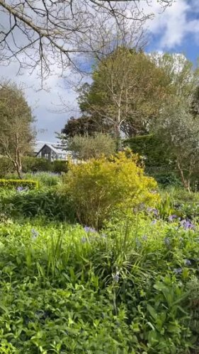 Video post from potager_garden.