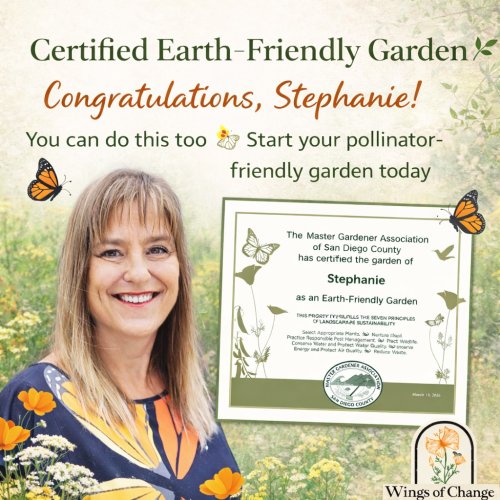 Photo post from wingsofchange2020.