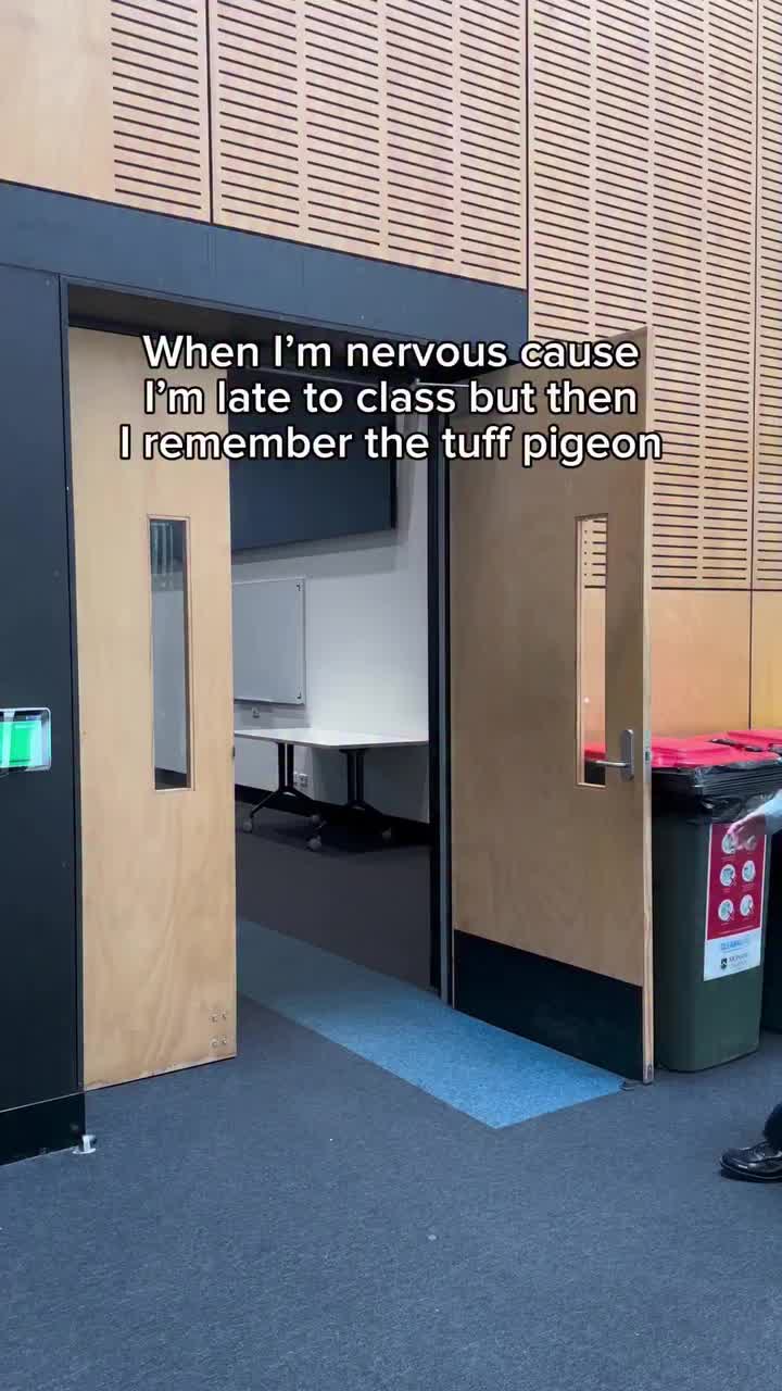 Video post from monashcoding.